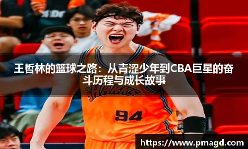 王哲林的篮球之路：从青涩少年到CBA巨星的奋斗历程与成长故事