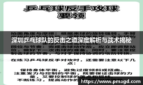 深圳乒乓球队的反击之道深度解析与战术揭秘