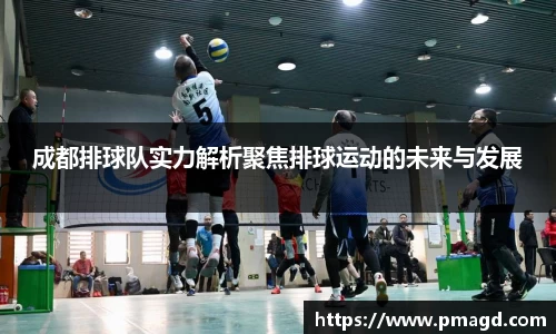 成都排球队实力解析聚焦排球运动的未来与发展