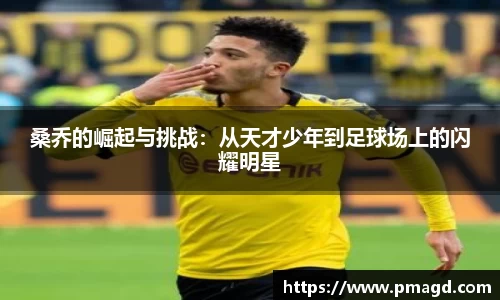 芒果体育登录入口